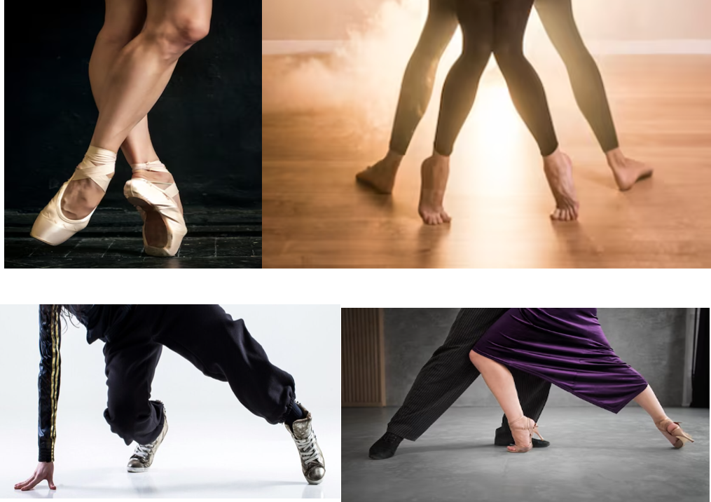 DANSE
