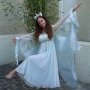 Le papillon